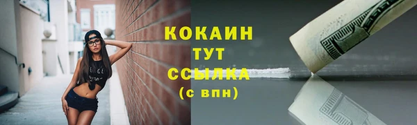 гидра Нея