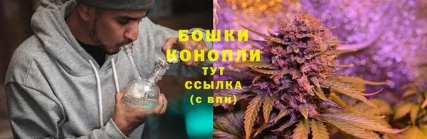 стафф Корсаков