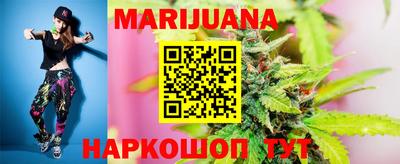 молекула духа Будённовск