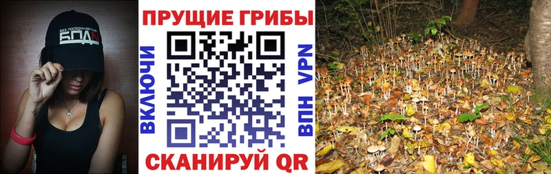 Галлюциногенные грибы мухоморы  закладки  Кубинка 