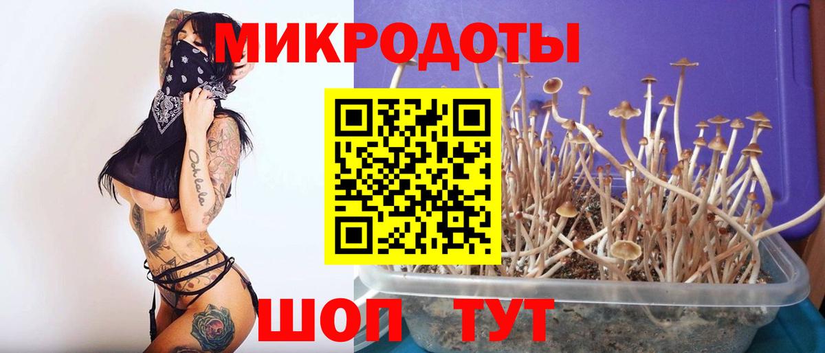 Галлюциногенные грибы мухоморы Кубинка